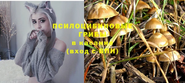 экстази Алексеевка